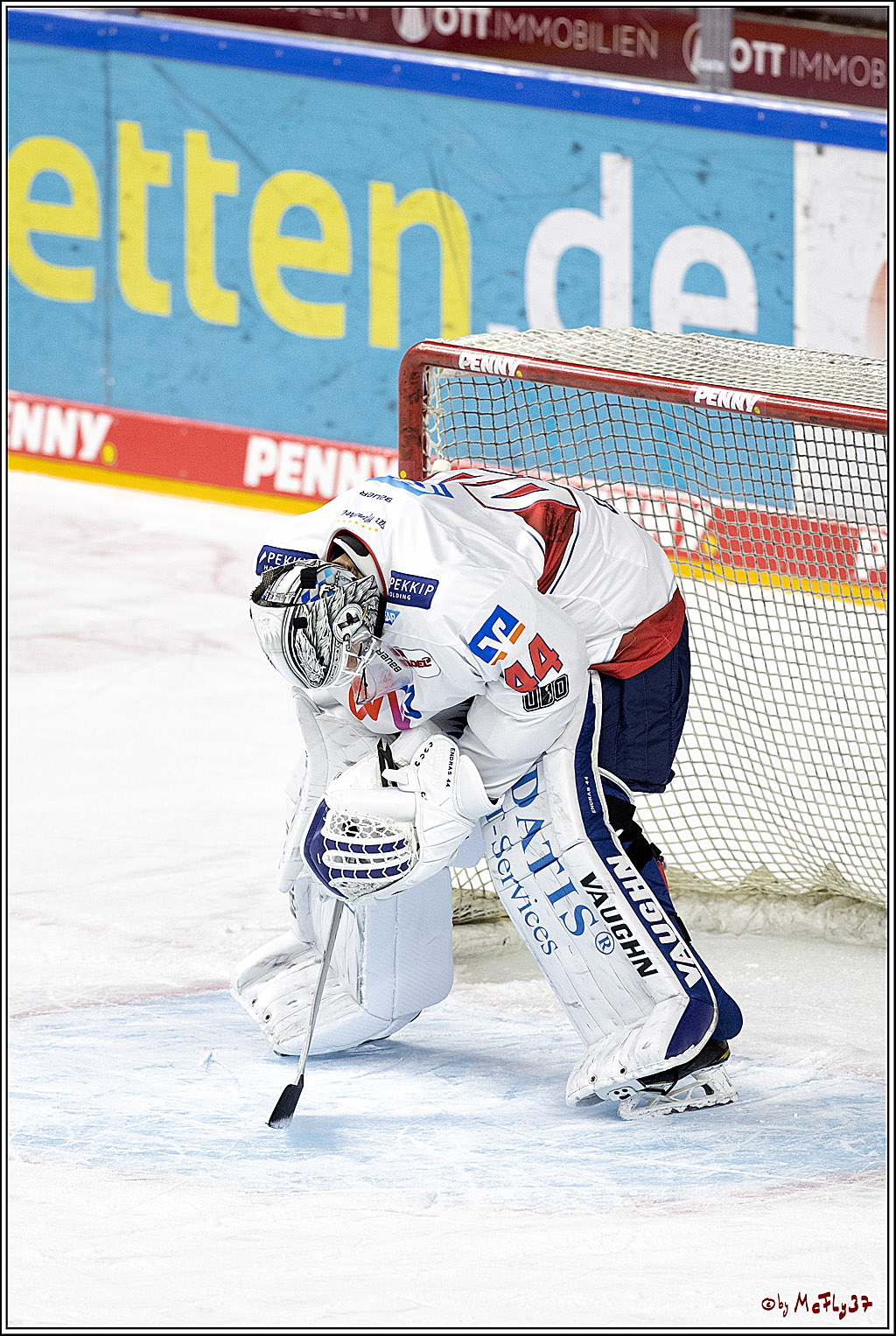PENNY DEL;  Koelner Haie - Adler Mannheim; Koeln, 08.04.2021